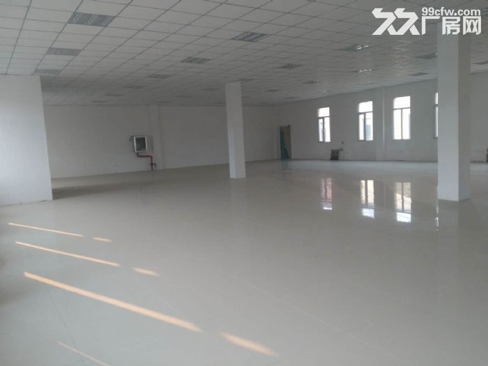 浑南地铁旁标准厂房500−3000平低价出租出售，有房证，消防环评-图3