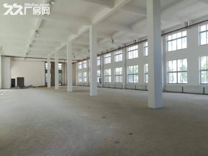 大东区标准厂房700−3000平出租出售，一层二层的都有，现房，有房证-图3
