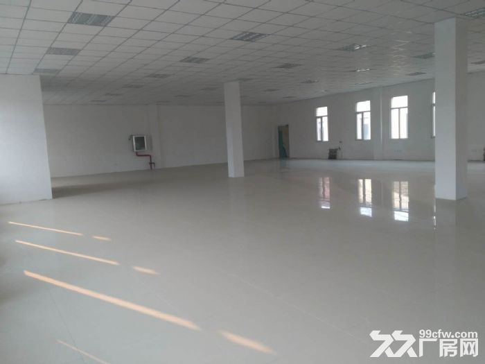 现房540−2000平低价出租出售，有房证，手续全-图5