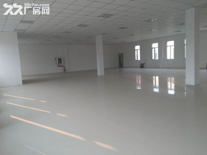 大东标准厂房700−3000平低价出租出售， 有房证，位置好-图3
