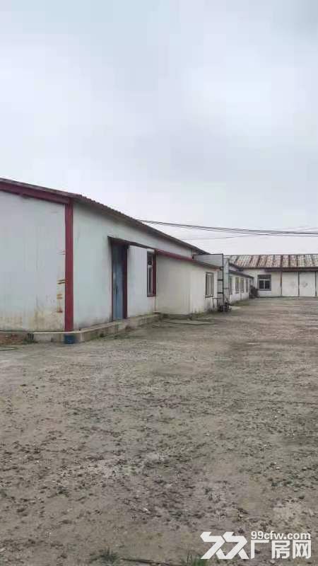 苏家屯990平厂房出租-图2