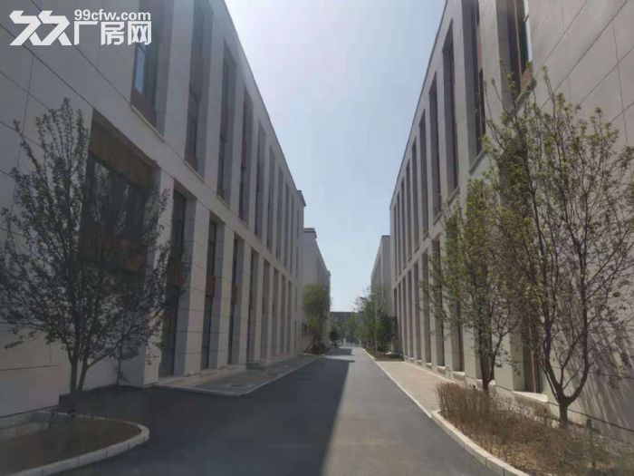 出售铁西特价厂房500平 临街 独栋 低首付可贷-图4