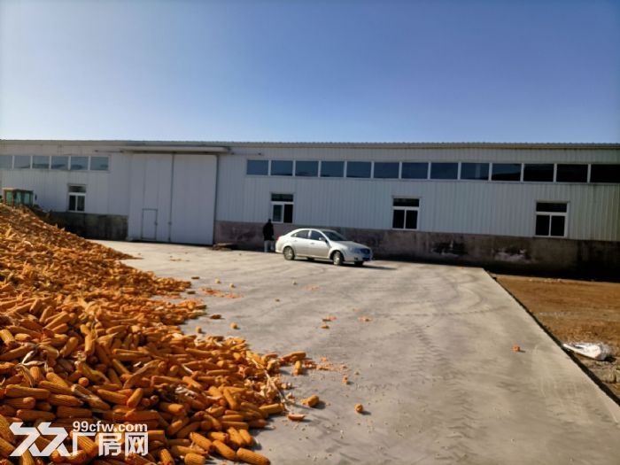 苏家屯沙河镇厂房4000平彩钢结构，厂房分3栋，2000平、1100平、900平-图3
