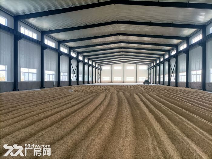 苏家屯沙河镇厂房4000平彩钢结构，厂房分3栋，2000平、1100平、900平-图4