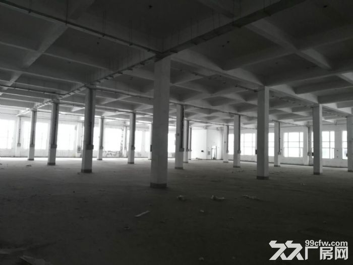 浑南独栋16000平厂房出租，三层框架，形象好-图3