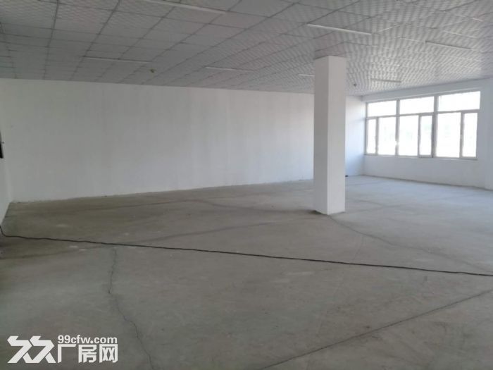 浑南科技创新区508平米出售-图3