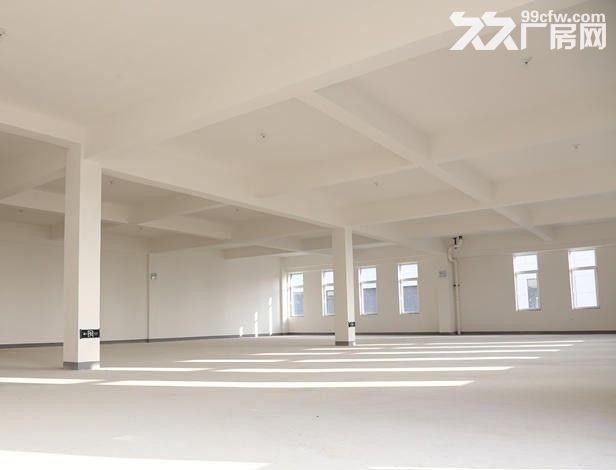沈抚新区厂房出租出售可环评五证齐全-图1