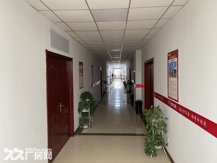 六层独栋可整租或分租，科技园个人无中介，价格面议-图2