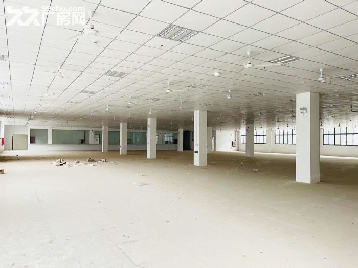 政府园区 大平层 可做仓库厂房可办公 停车方便-图2