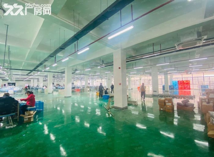政府园区 大平层 可做仓库厂房可办公 停车方便-图6
