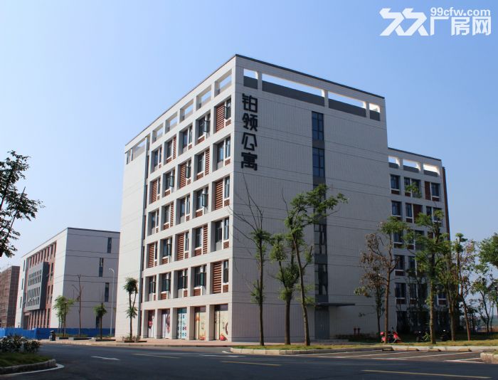 地铁城铁一体化、超高性价比、花园式成熟园区、别墅式独栋厂房【单层、独栋出租】-图2
