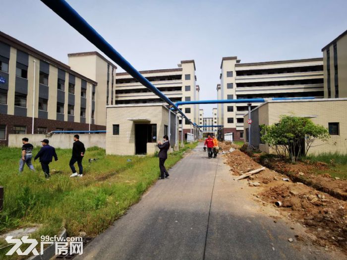 湖北专业食品产业园 厂房出租 食品生产配套齐全-图1