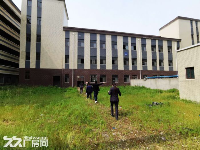 湖北专业食品产业园 厂房出租 食品生产配套齐全-图2