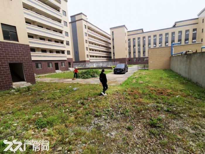 湖北专业食品产业园 厂房出租 食品生产配套齐全-图5