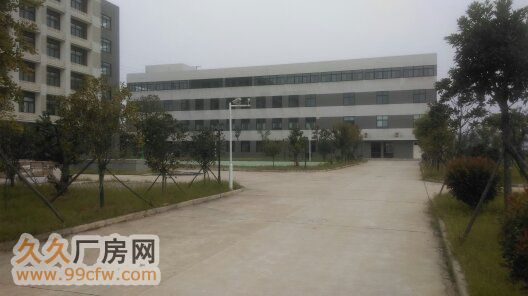 武汉开发区康师傅旁3300m2新框架厂房-图1