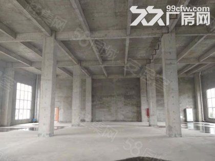 近白沙洲园区600−7000平标准厂房租售，可贷，近地铁采光通风优交通便利-图4