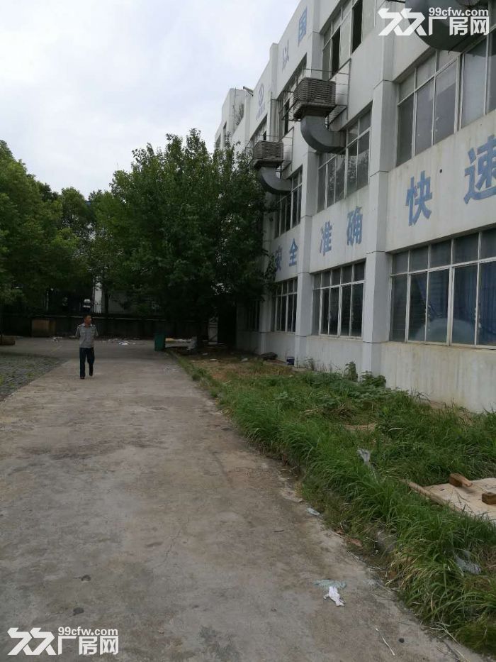 沌口经济开发区一层1073平和1750平两间带行吊厂房招租-图1