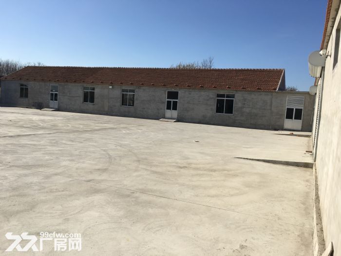 经区桥头镇柴里村厂房出租-图1