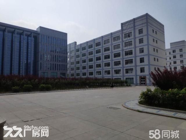大型工业园成品厂房以及办公楼招租-图3