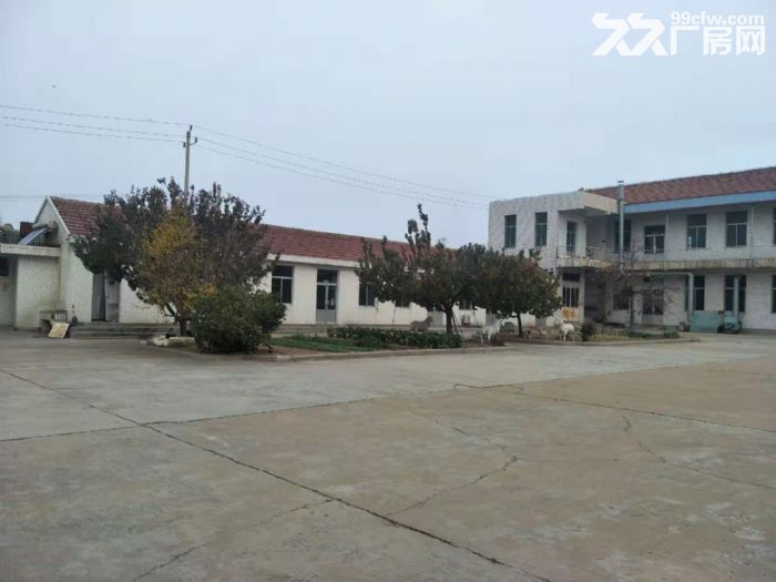张村独门独院厂房出租-图3
