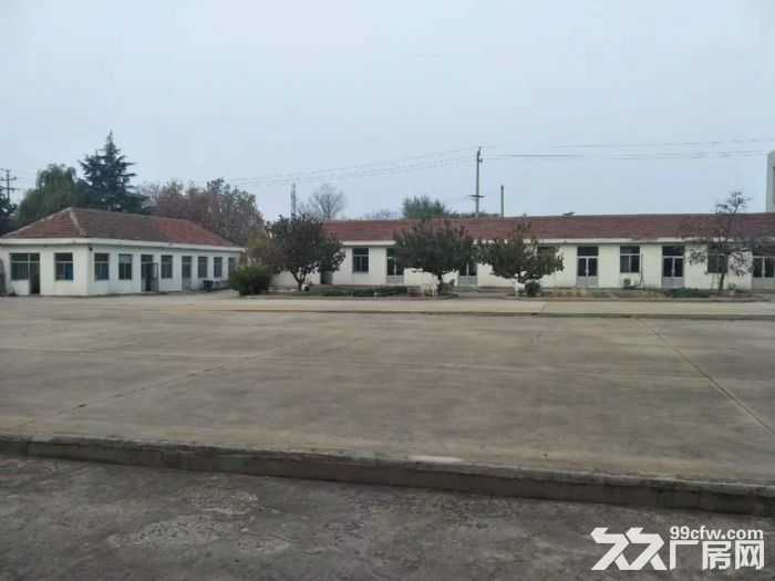 张村独门独院厂房出租-图4