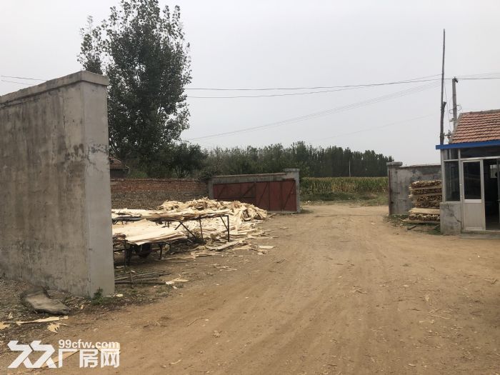 个人真实出租，建设用地使用权，厂房。-图1