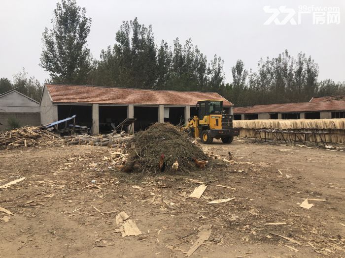 个人真实出租，建设用地使用权，厂房。-图5