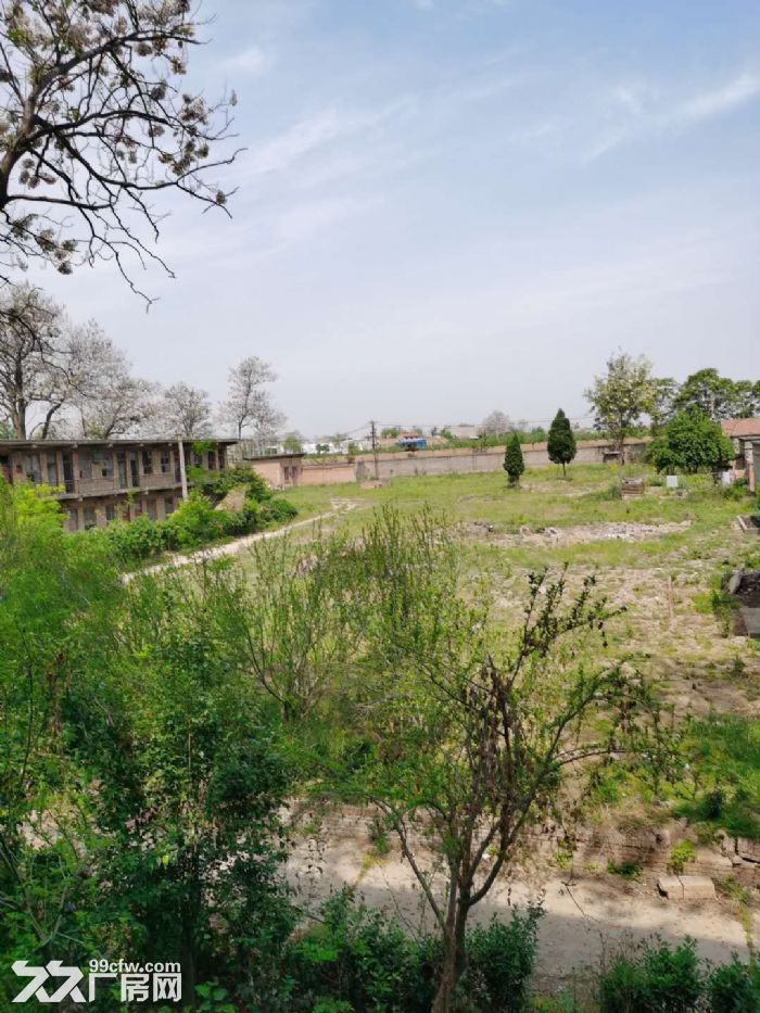国企工业用地厂房场地出租-图1