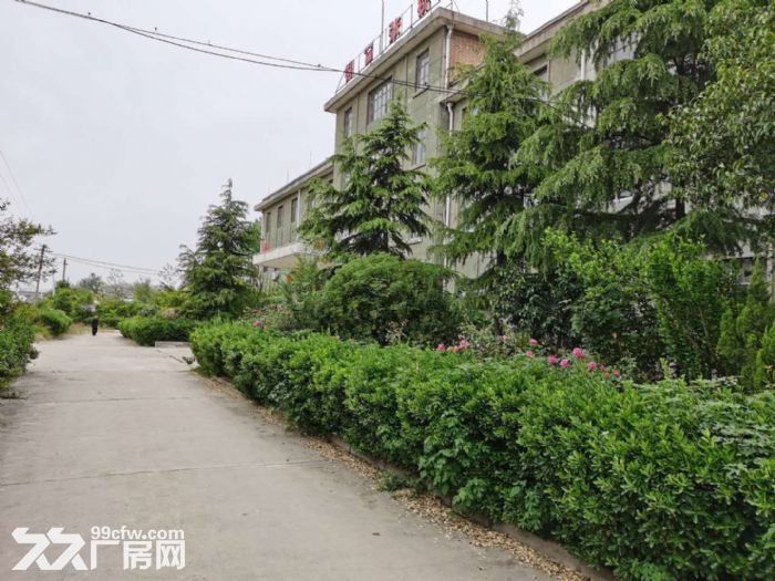 国企工业用地厂房场地出租-图5