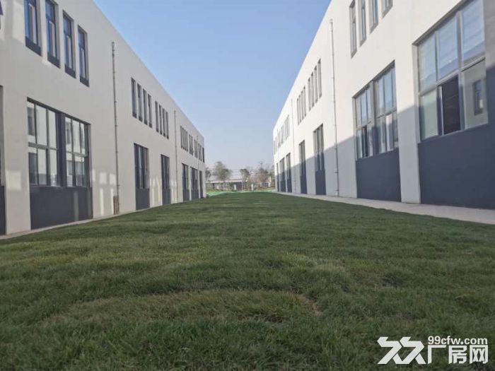 成熟园区丨环评已过，2万平可分割，生产物流均可。-图3