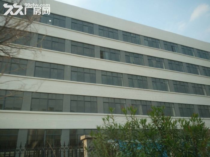 翔安火炬园标准厂房36000平方出租（可分租）-图1