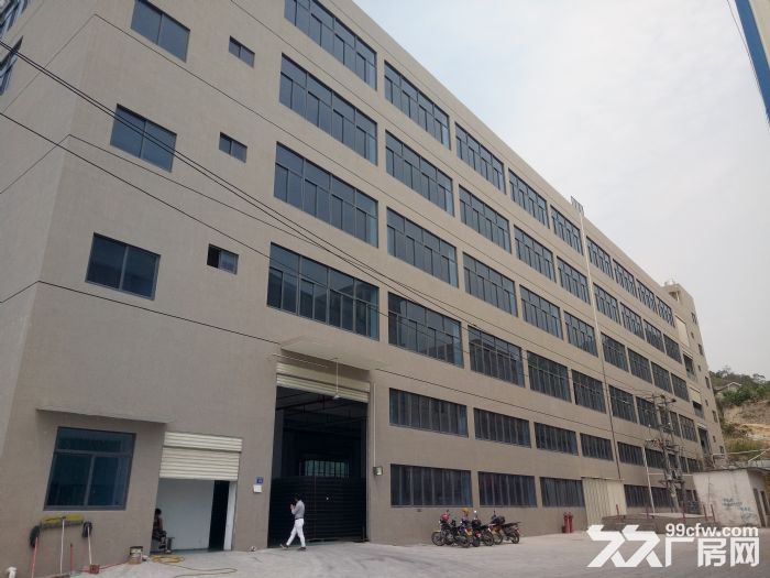 标准厂房8000平方，4600平，16000平，14000平，5000平出租-图1