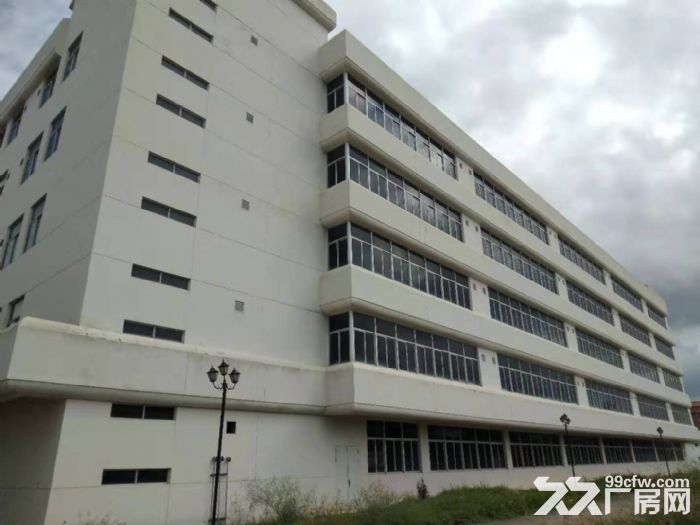 翔安火炬园独门独院35000平方框架厂房招租-图1