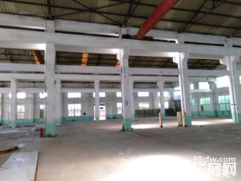 长泰独门独院36000平方钢结构厂房招租-图1