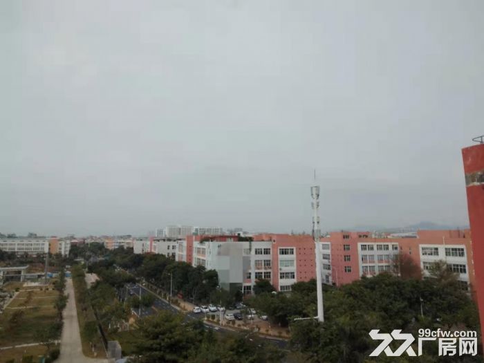 同安工业区独门独院15000平方新厂房出租-图1