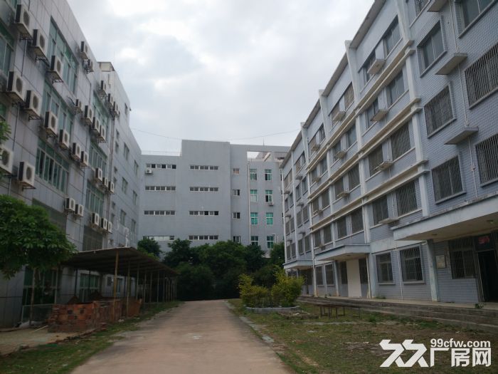 同安工业集中区30000平方标准厂房出租，可分租-图1