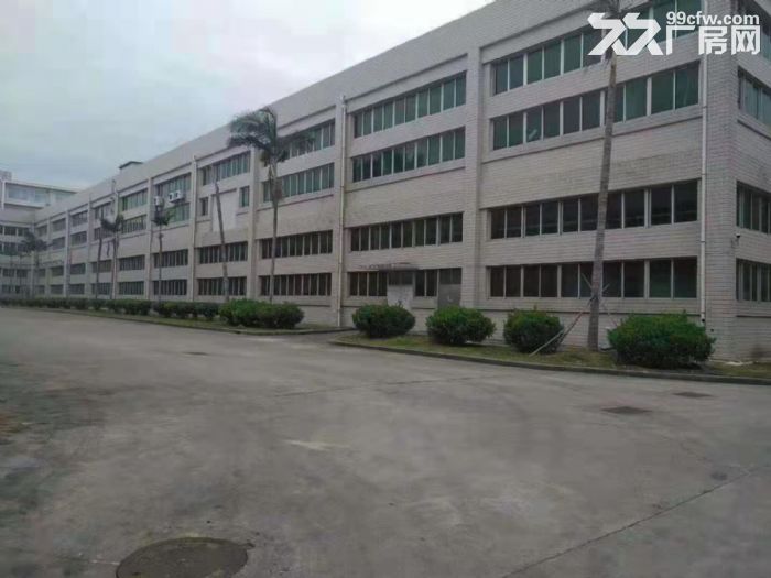 业主集美厂房60000平方框架出租-图1