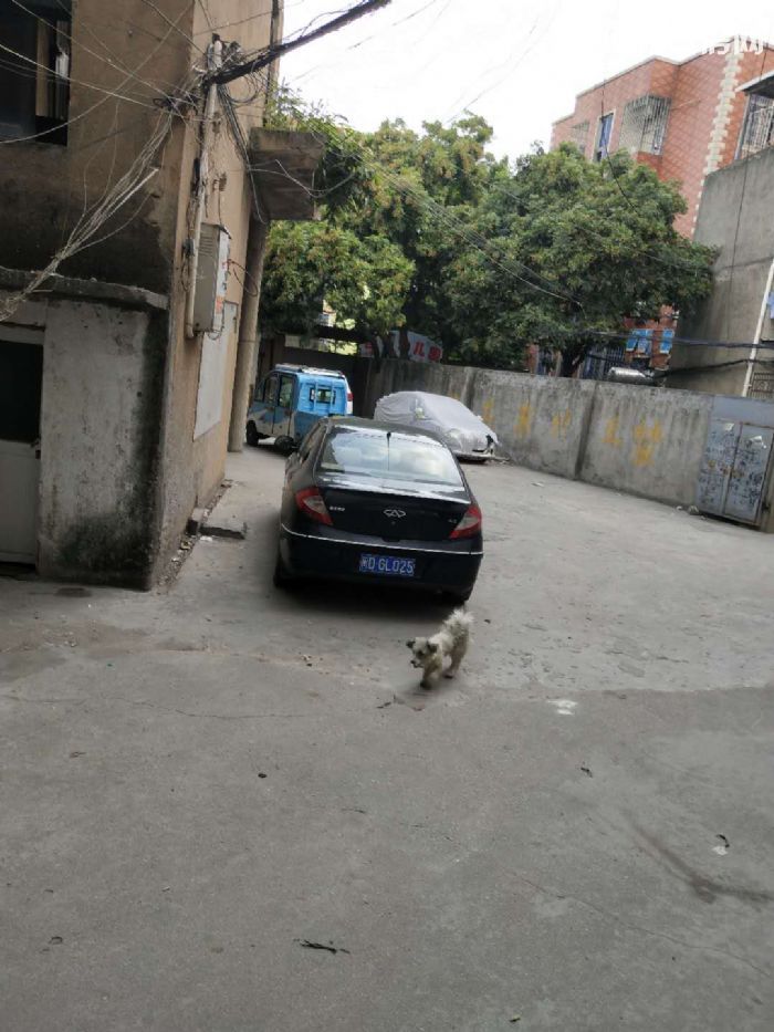 杏林杏西路正新轮胎附近650框架加铁皮出租-图1