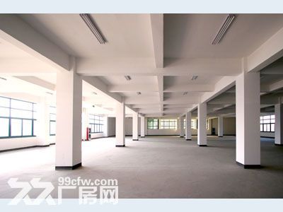 ​出租集美天安路1楼1400平-图1