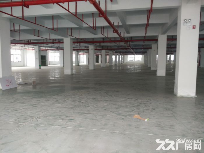 同安工业区食品厂房26000平方出租-图1