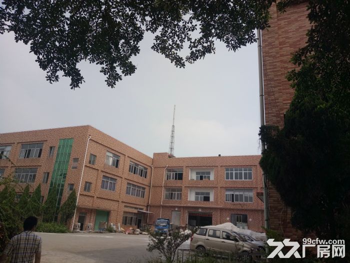 翔安火炬一期标准厂房18000平方出租-图1