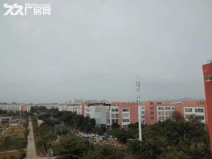 火炬园40000平方标准厂房招租-图1