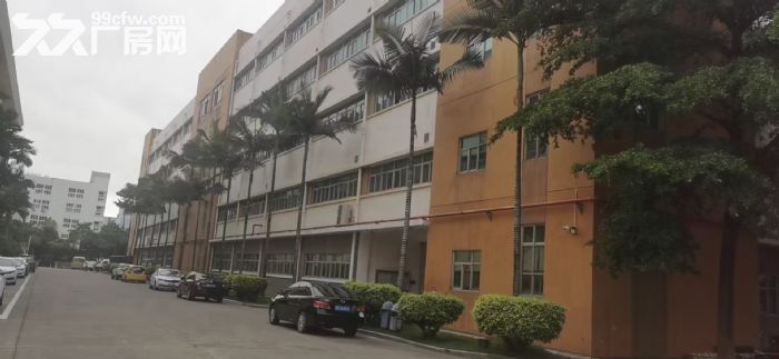 同安工业集中区标准厂房 可分租   可过环保-图1