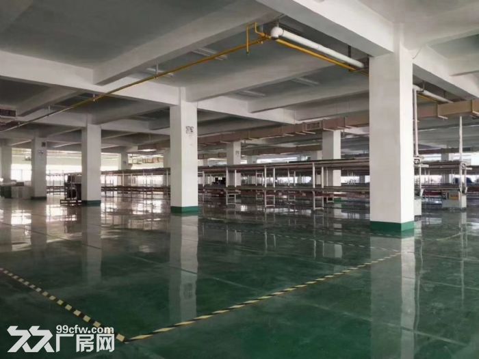 同安工业集中区标准厂房 可分租   可过环保-图2