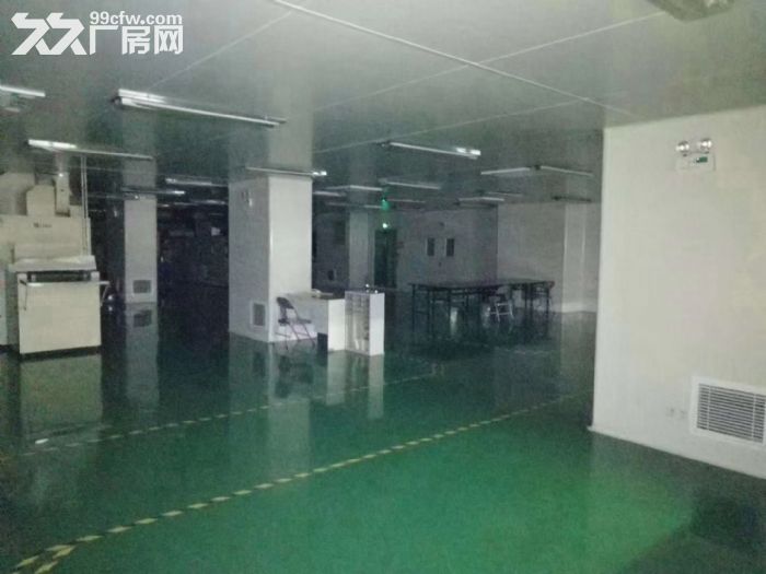 同安工业集中区标准厂房 可分租   可过环保-图3