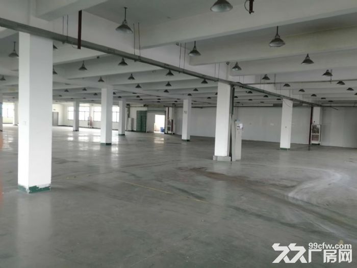 新阳工业区 8000平两栋厂房出租 注塑 用电大行业优先-图1