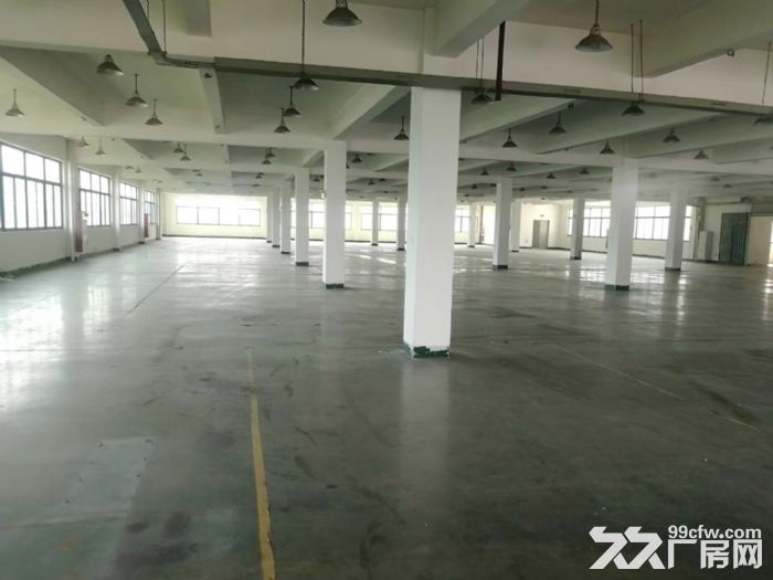 新阳工业区 8000平两栋厂房出租 注塑 用电大行业优先-图3