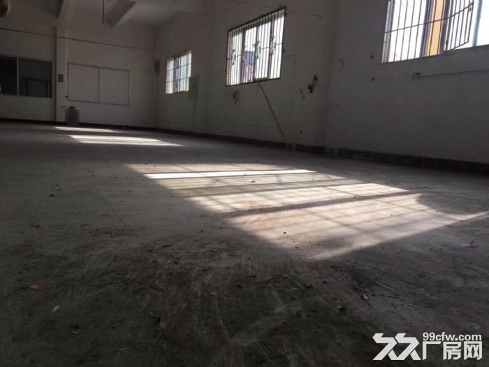 出租湖里枋湖工业园1150来标准厂房-图4