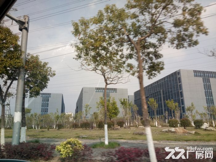 同安区钢结构厂房、标准厂房3000平方.8000平方.45000平方出租，可分租-图1