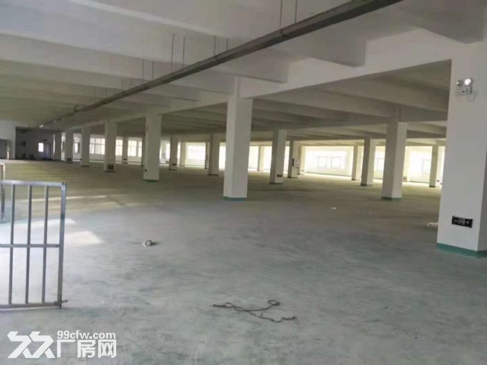 新阳工业区阳泰路1楼标准厂房1000出租-图1